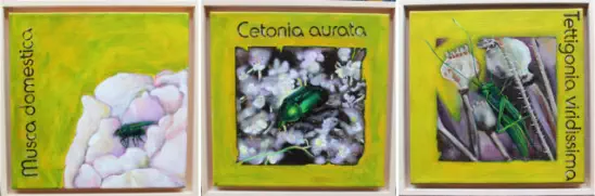 Serie `die wilden Tiere / 30x30 cm / gerahmt